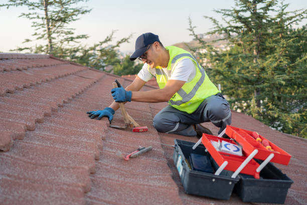 Best Solar Panel Roofing Installation  in Red Lake Falls, MN